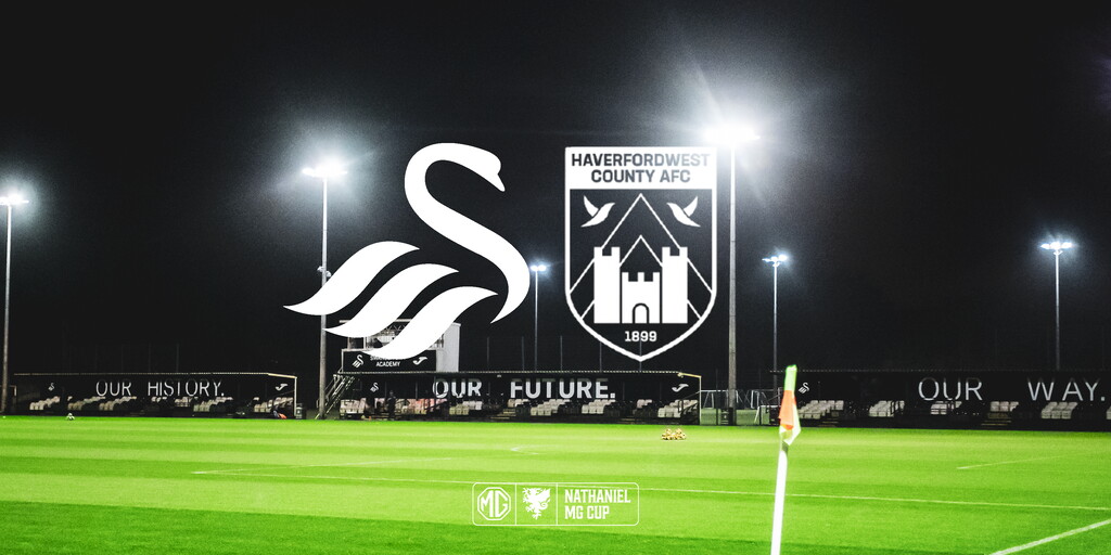 www.swanseacity.com