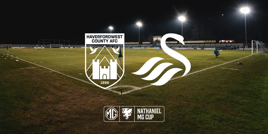www.swanseacity.com