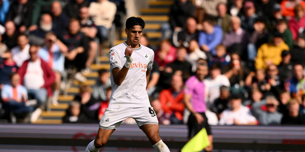 www.swanseacity.com