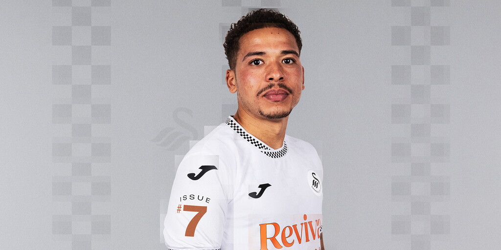 www.swanseacity.com