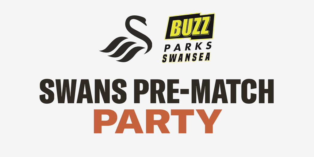 www.swanseacity.com
